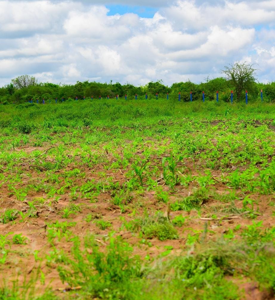 Matuu land for sale