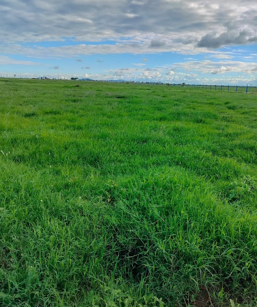 Kitengela prime plots for sale