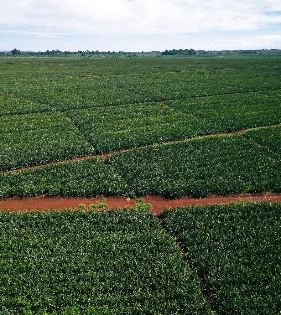 Malindi 4 acre prime land for sale