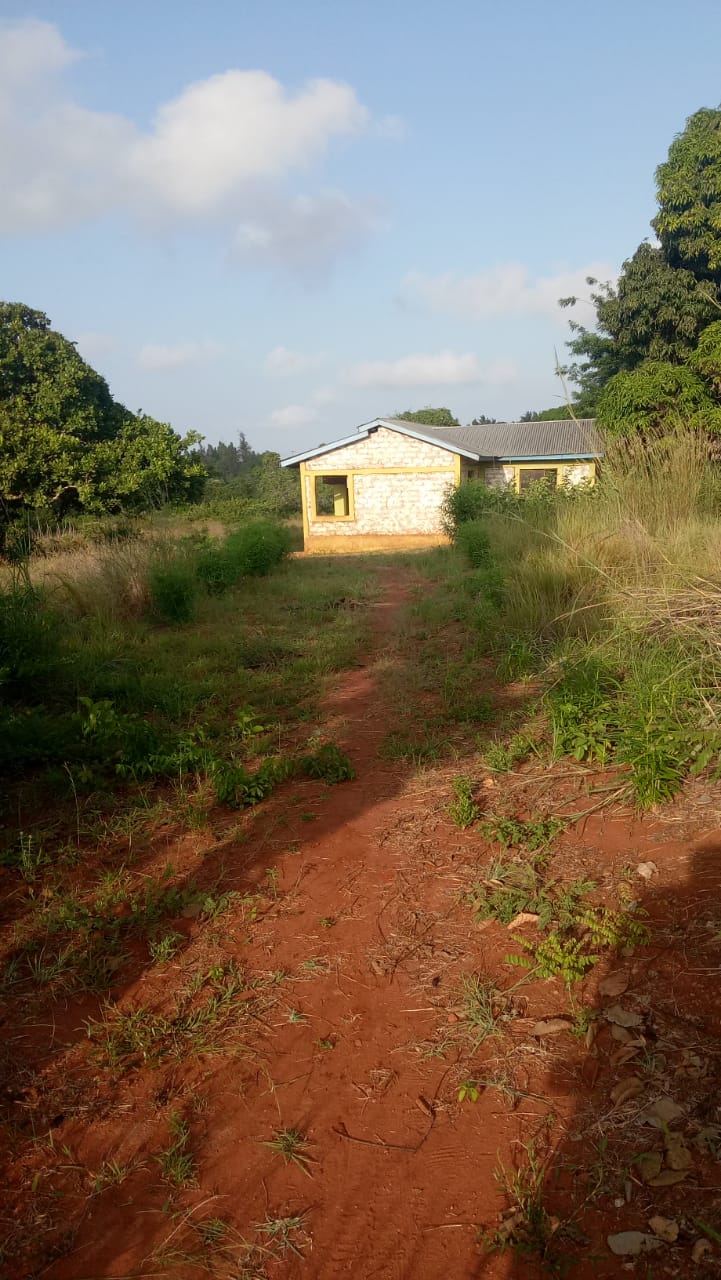 Prime 3 acre shamba in kwale for sale 
