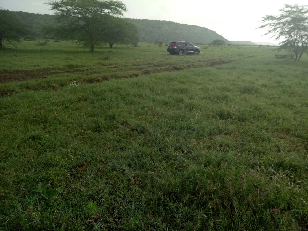 220 Acres Agricultural land for Sale in Suswa Narok