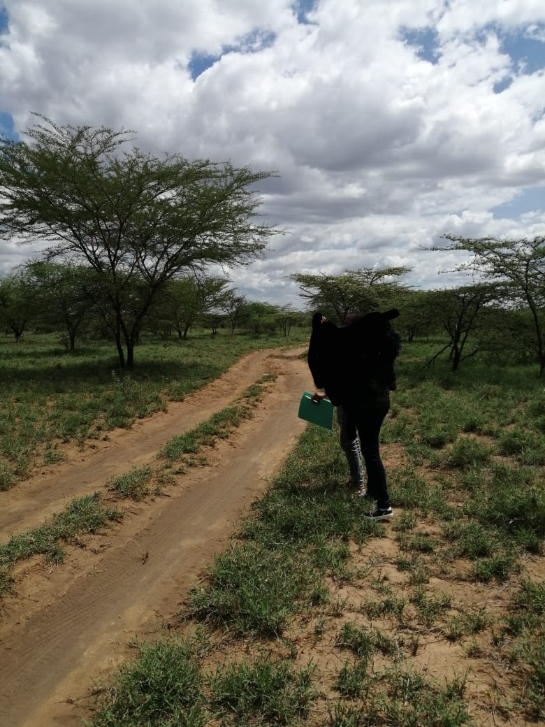 220 Acres Agricultural land for Sale in Suswa Narok