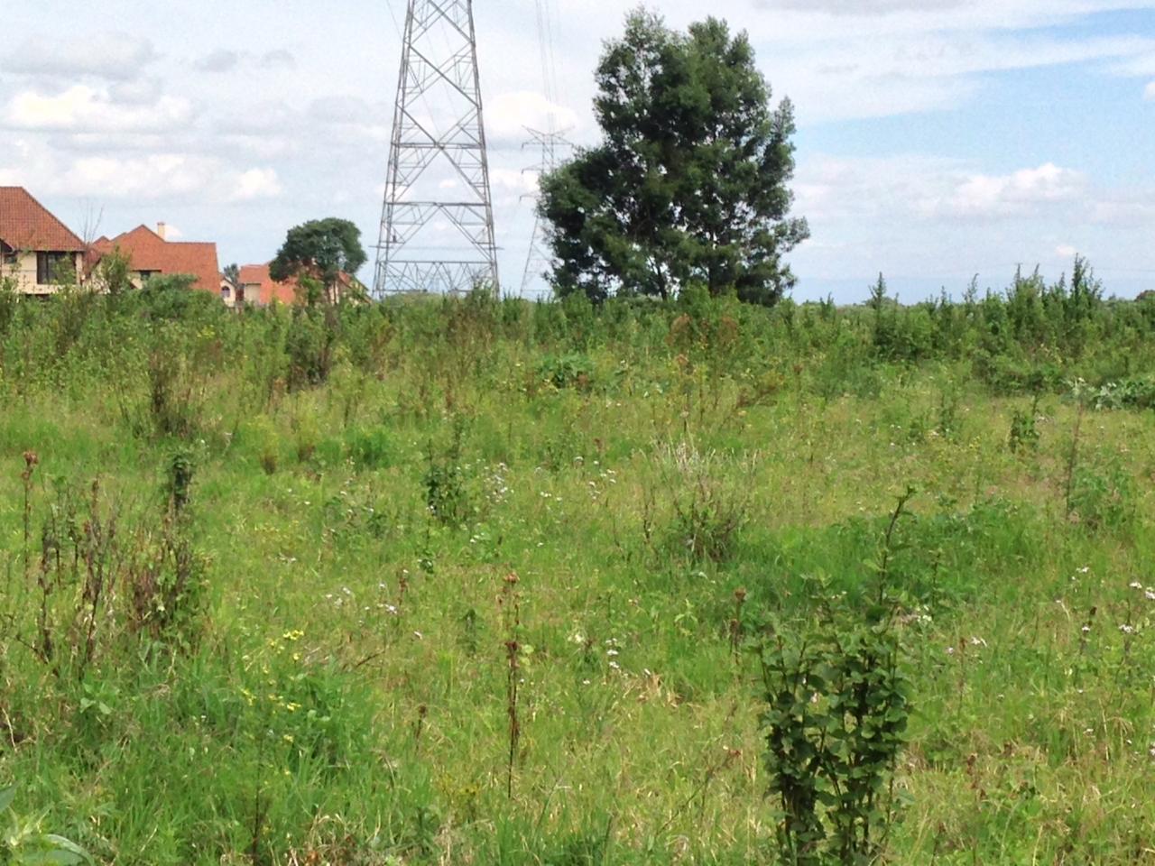 10 acres Hot sale in Limuru Redhill