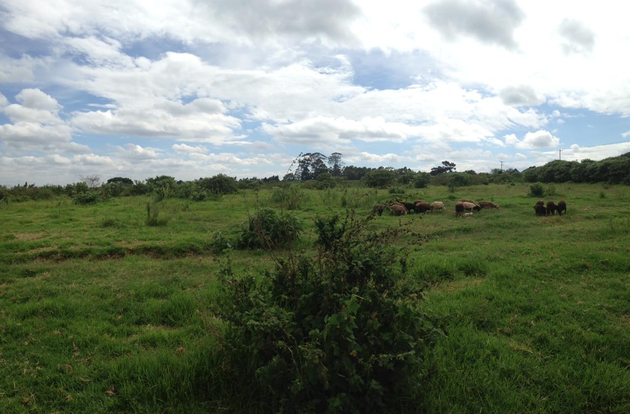 8 Acres Hot Sale in Limuru Redhill, Kiambu