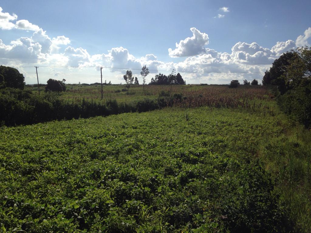 4 Acres at Kikuyu makutano