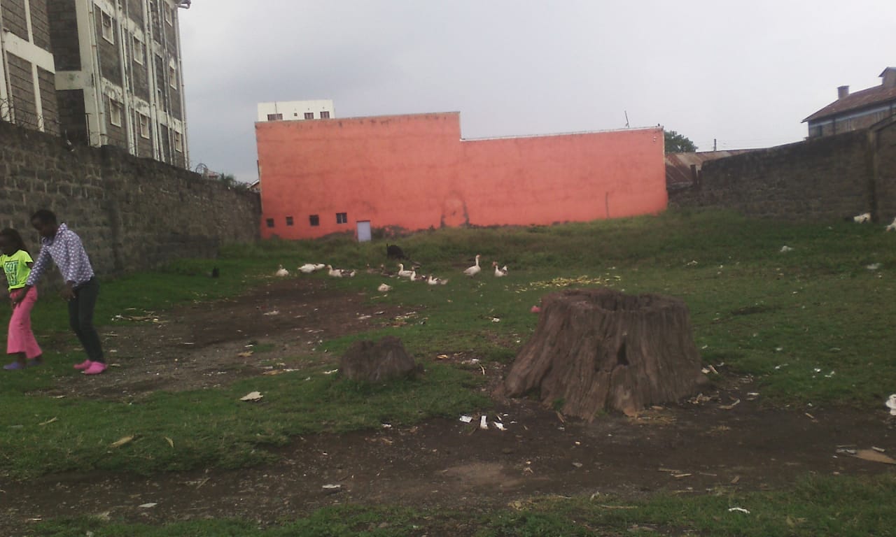 0.172 Acre Prime plot for sale In the heart of Nakuru