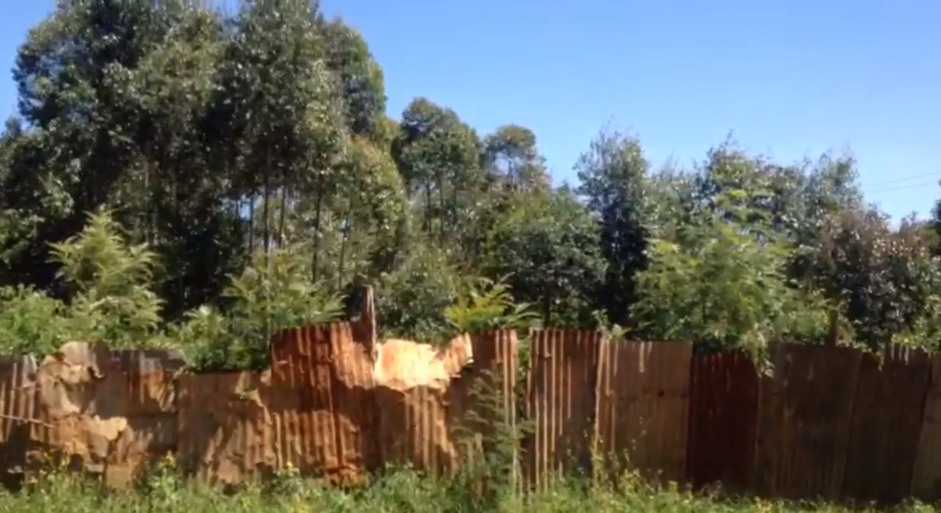 1 Acre Prime plot in Limuru, Ndeiya for SALE