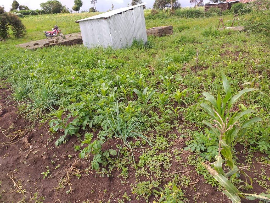 0.25 Acre plot for Sale in Ihindu market, Naivasha