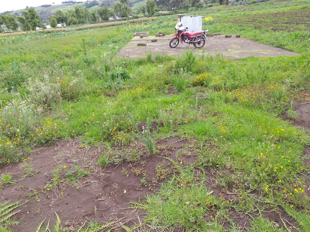 0.25 Acre plot for Sale in Ihindu market, Naivasha