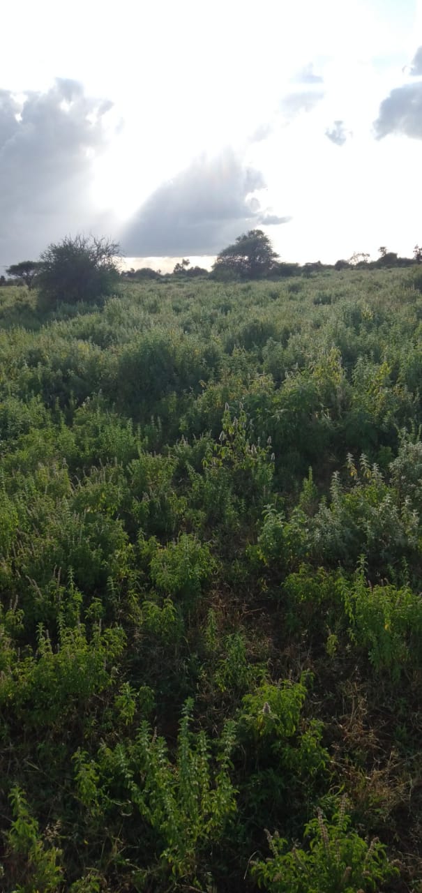 180 Acres for sale in Kimana Kajiado South