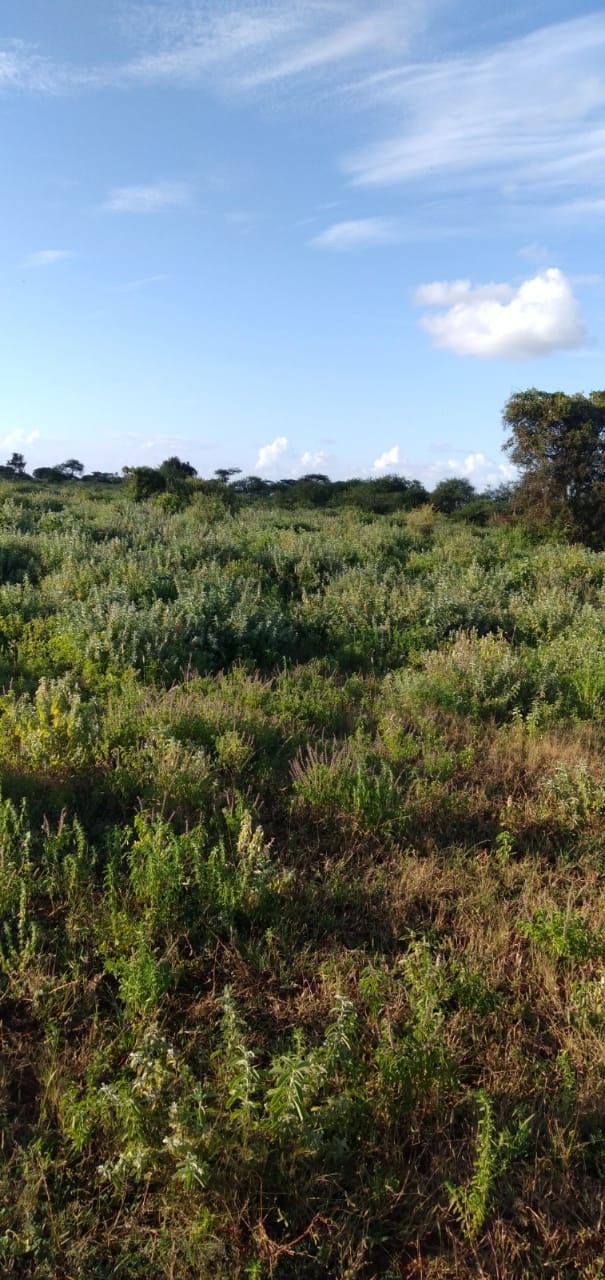 180 Acres for sale in Kimana Kajiado South