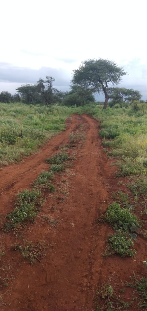 120 Acres for Sale in Kimana Kajiado south