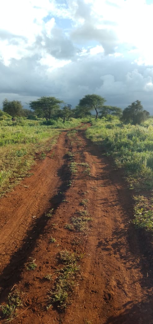 120 Acres for Sale in Kimana Kajiado south