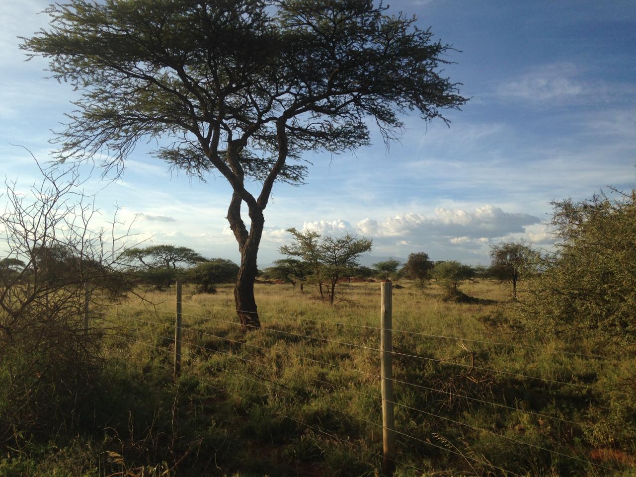 5 Acres for sale at Kajiado Euwaso 