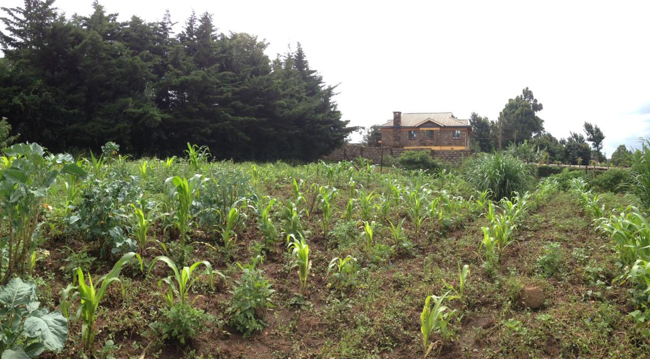 1/4 acre in Limuru Thigio.