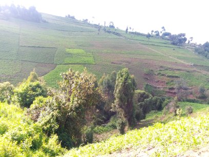 9 Acres Land for Sale in Njoro