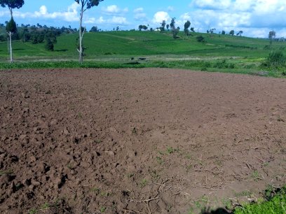 9 Acres Land for Sale in Njoro