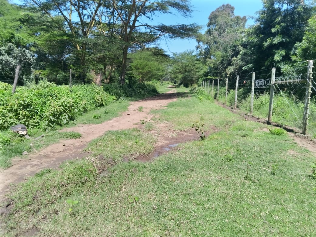 188 Acres Agricultural land in Narok county for Sale