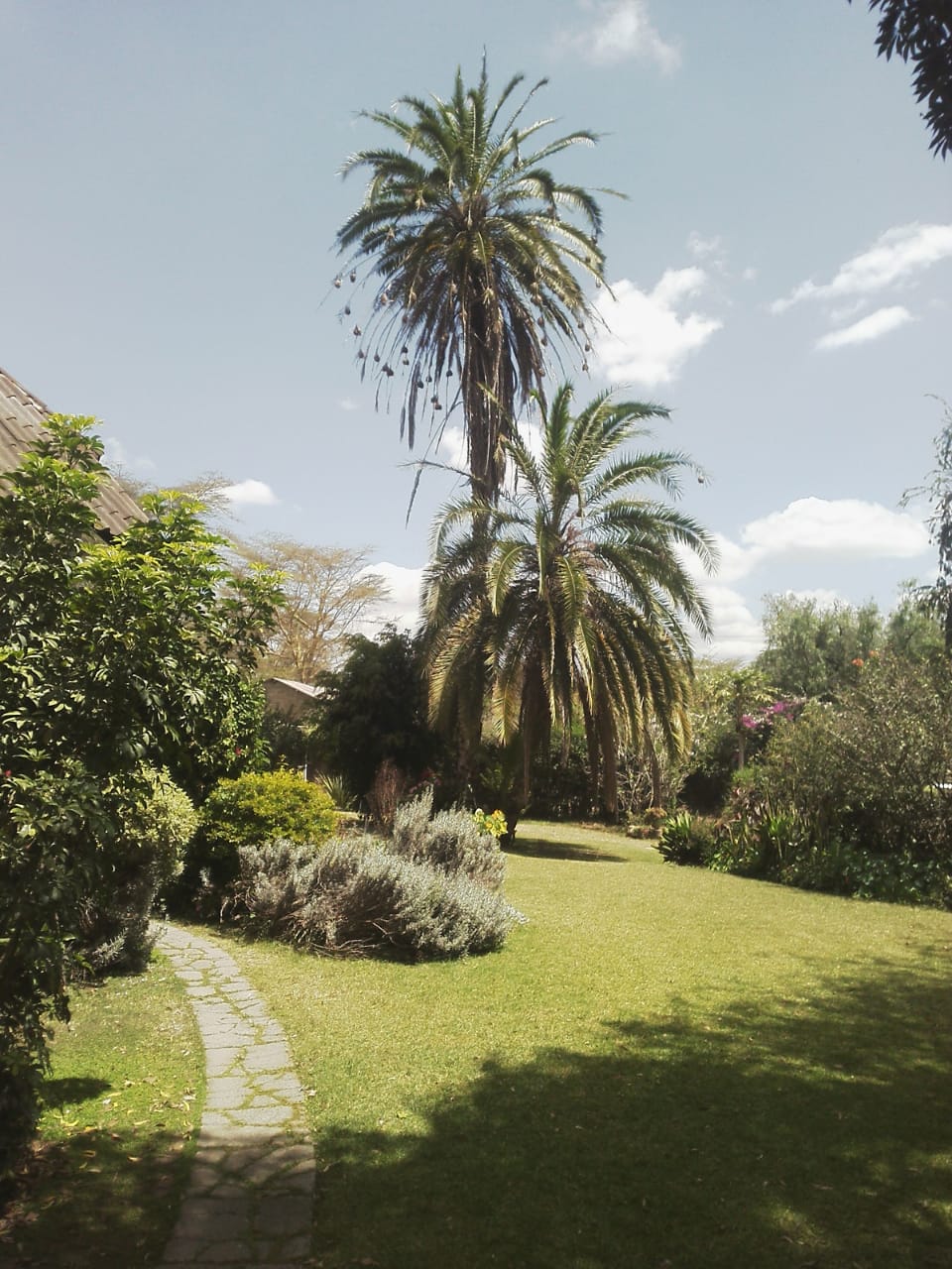 6 Acres Lake Naivasha hotel for Sale