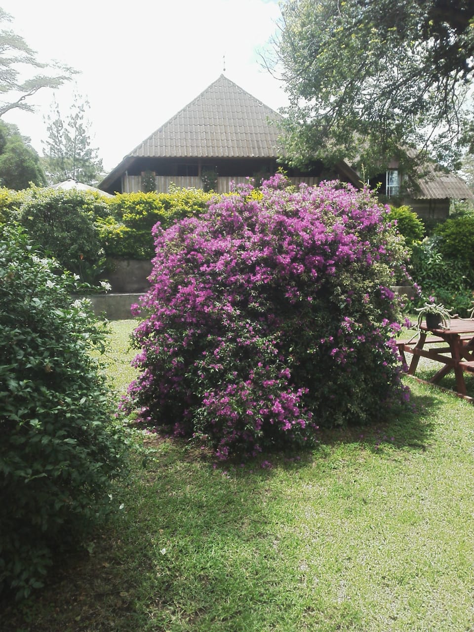 6 Acres Lake Naivasha hotel for Sale
