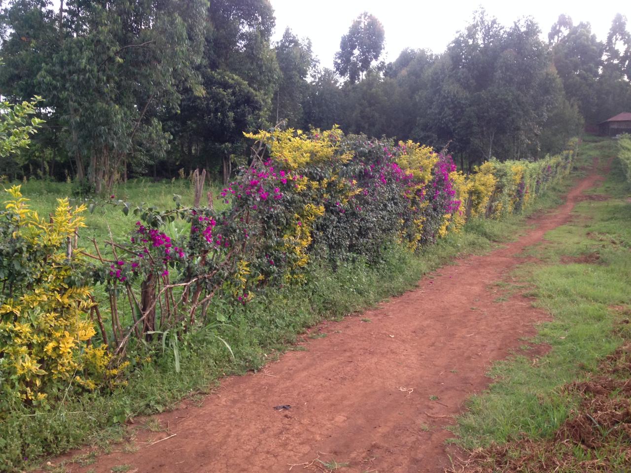 1 Acre very prime plot for sale in Muguga