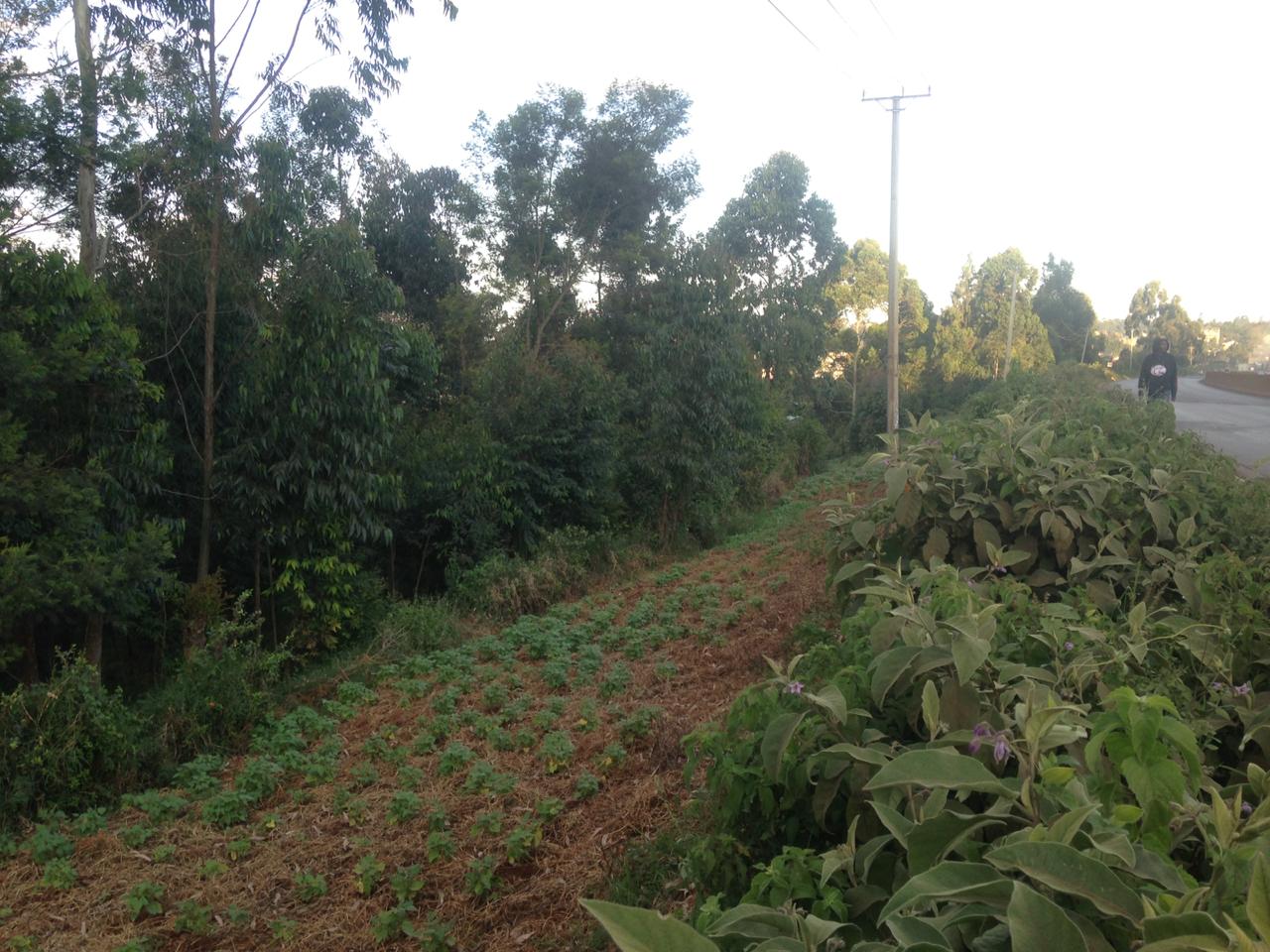 1 Acre very prime plot for sale in Muguga
