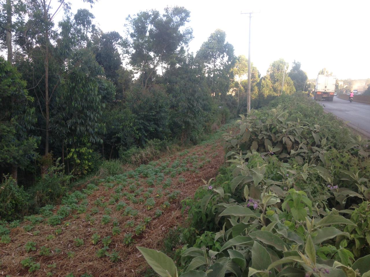 1 Acre very prime plot for sale in Muguga