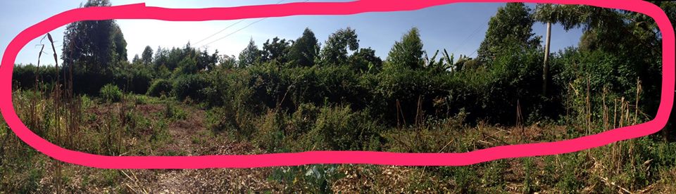 1/4 acre on sale (100 by 100)