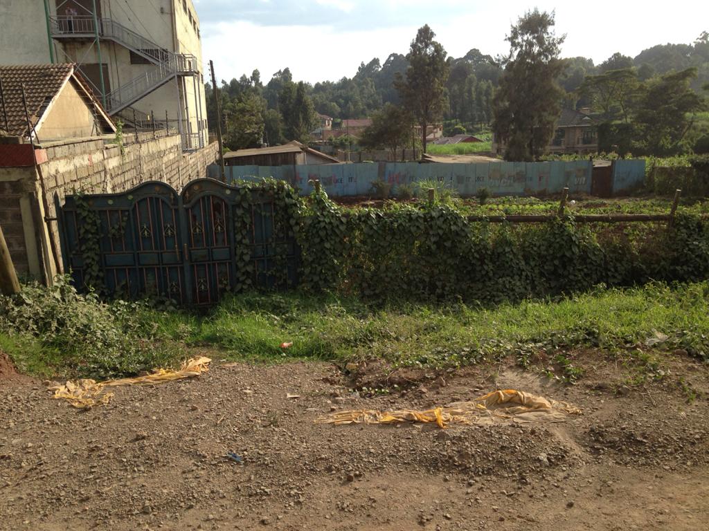 1 Acre prime commercial property for sale in Zambezi waiyaki way
