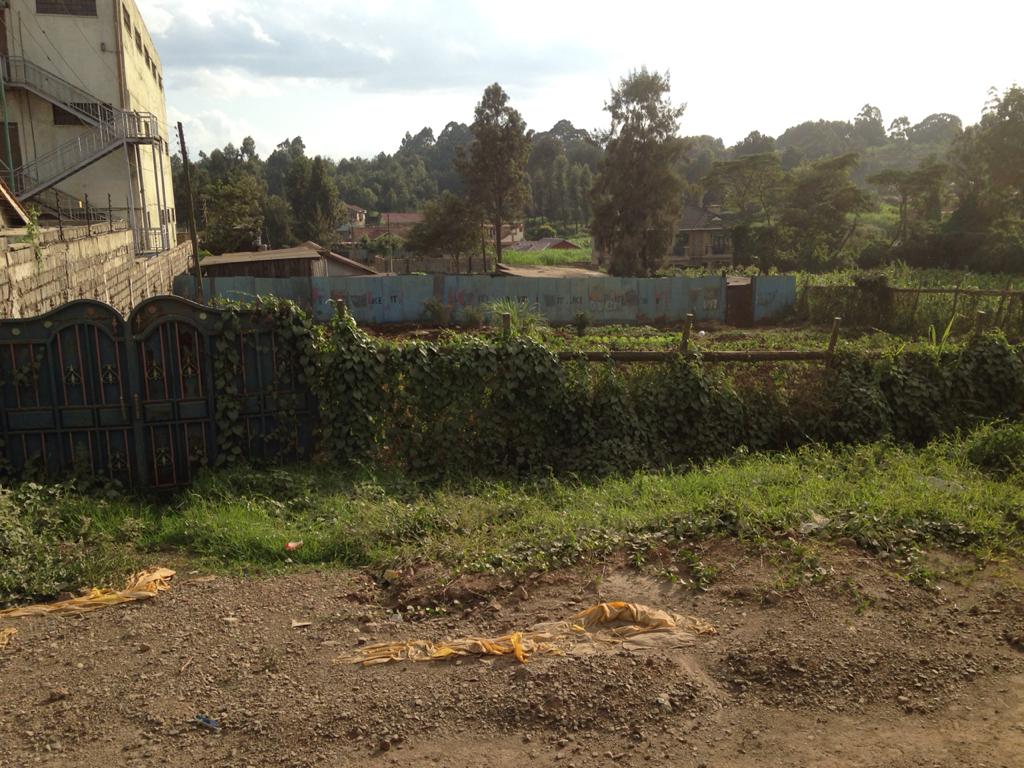 1 Acre prime commercial property for sale in Zambezi waiyaki way