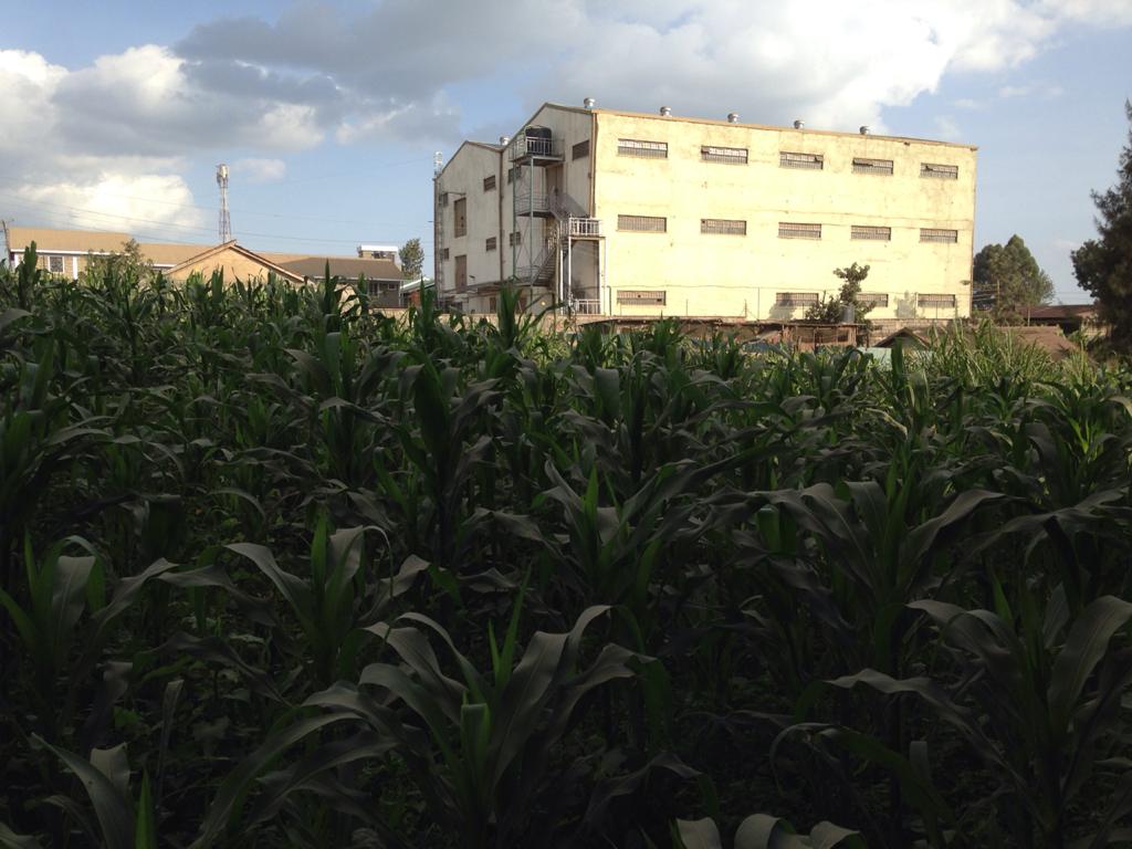 1 Acre prime commercial property for sale in Zambezi waiyaki way