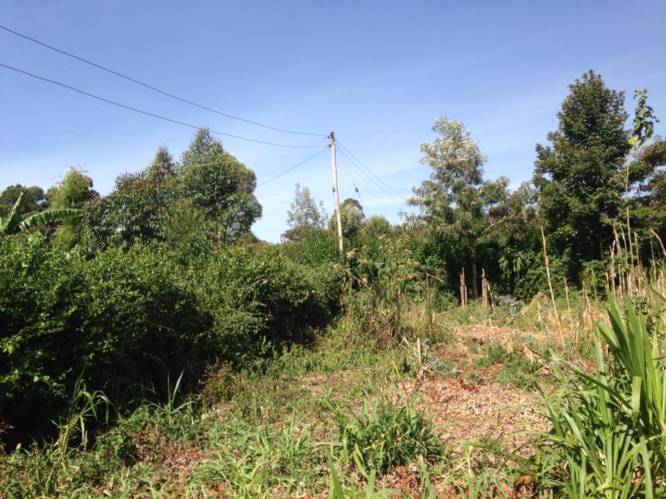 1/4 acre on sale (100 by 100)