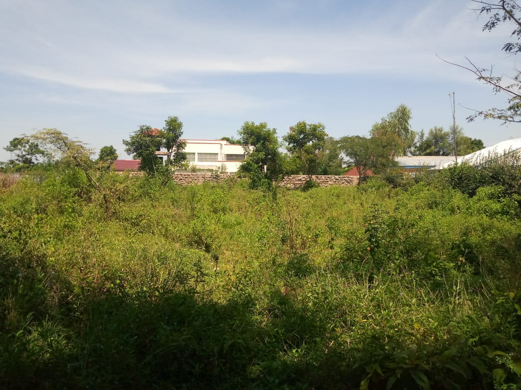 0.25 Acres Commercial land in Bondo town for sale