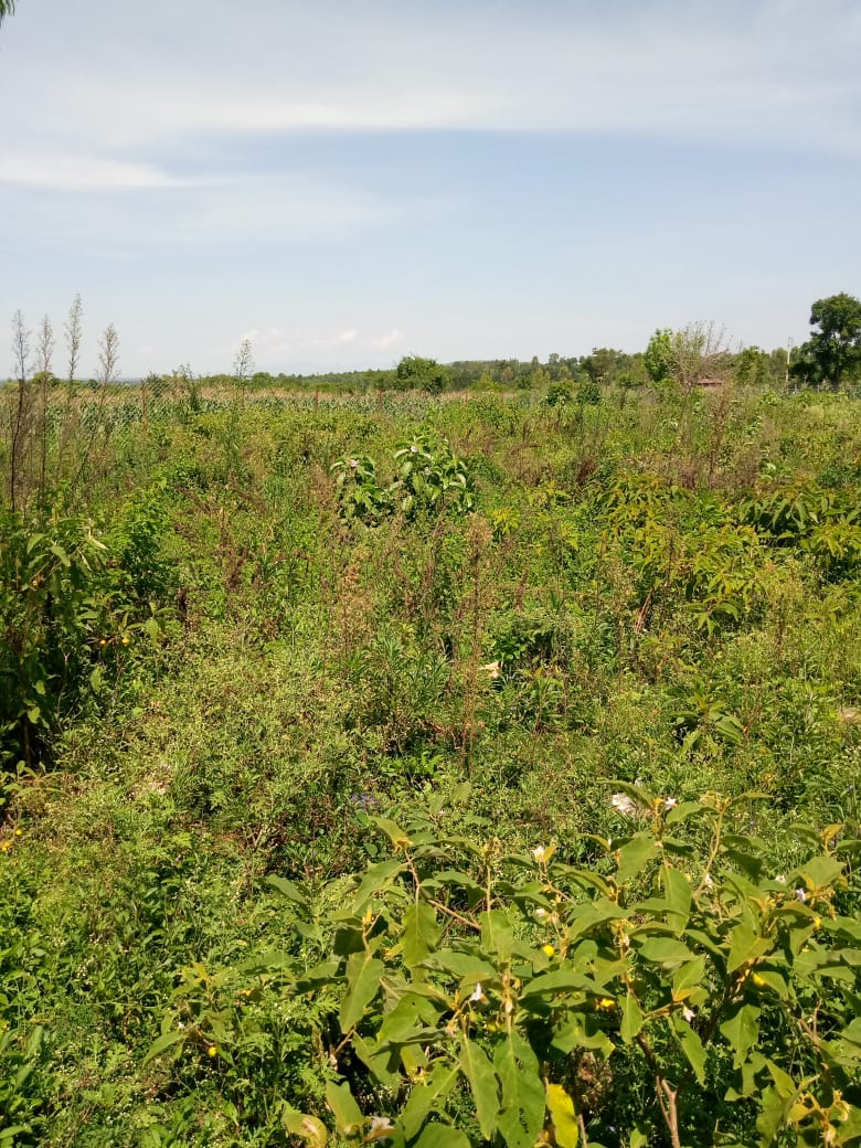 0.25 Acres Commercial land in Bondo town for sale