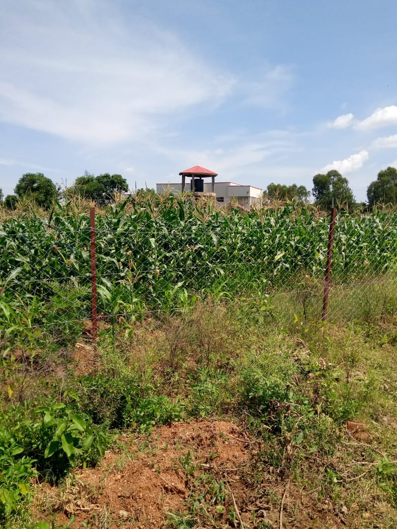 0.25 Acres Commercial land in Bondo town for sale