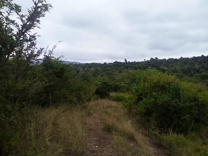 700 acres in Muranga county Ithanga for Sale