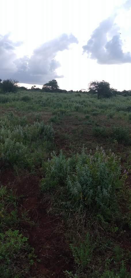 600 acres For sale in Kajiado kimana