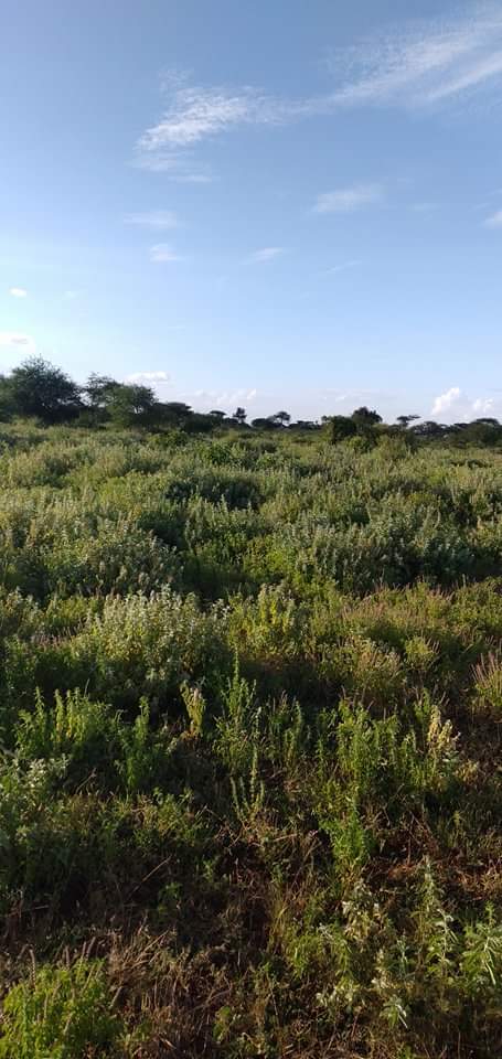 600 acres For sale in Kajiado kimana