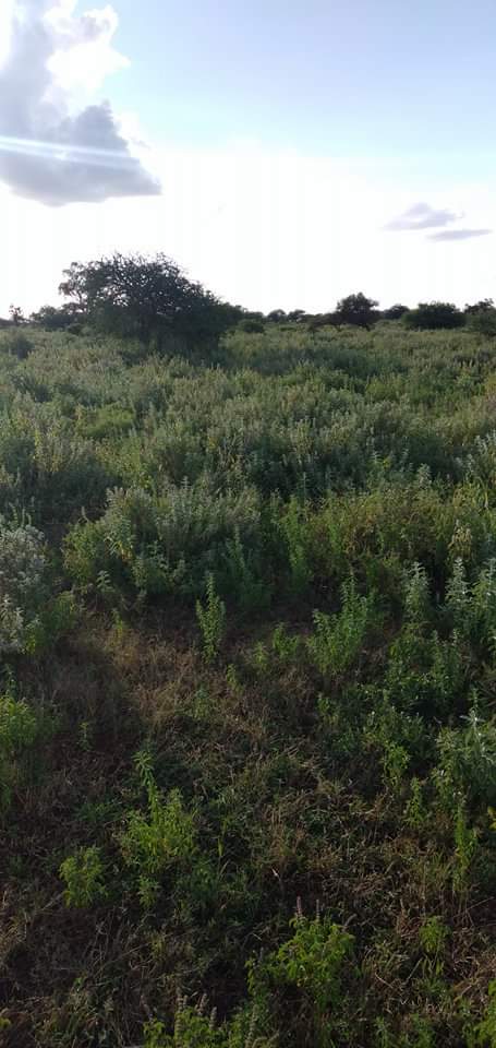 600 acres For sale in Kajiado kimana