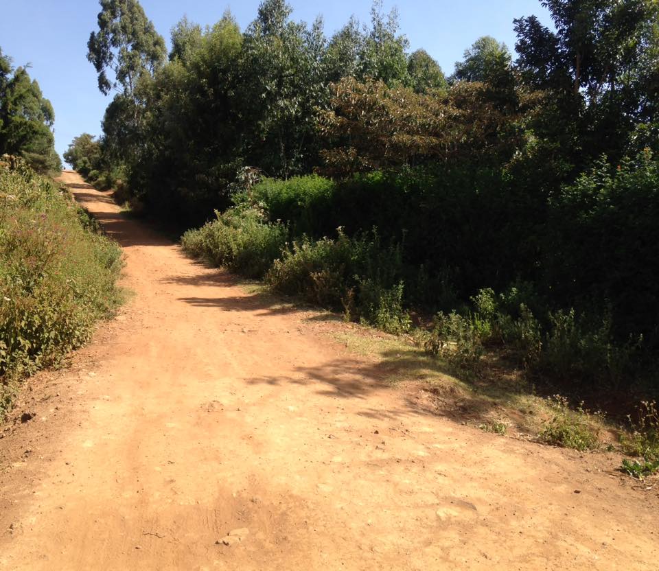 1/4 acre on sale (100 by 100)