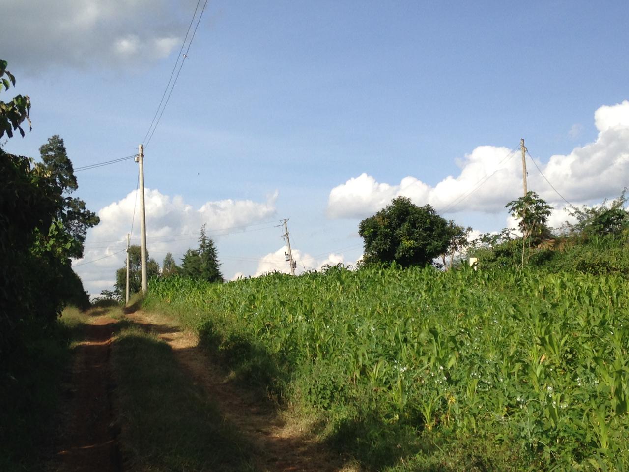 1/2 acre  on Quick Sale in Kikuyu Kamangu