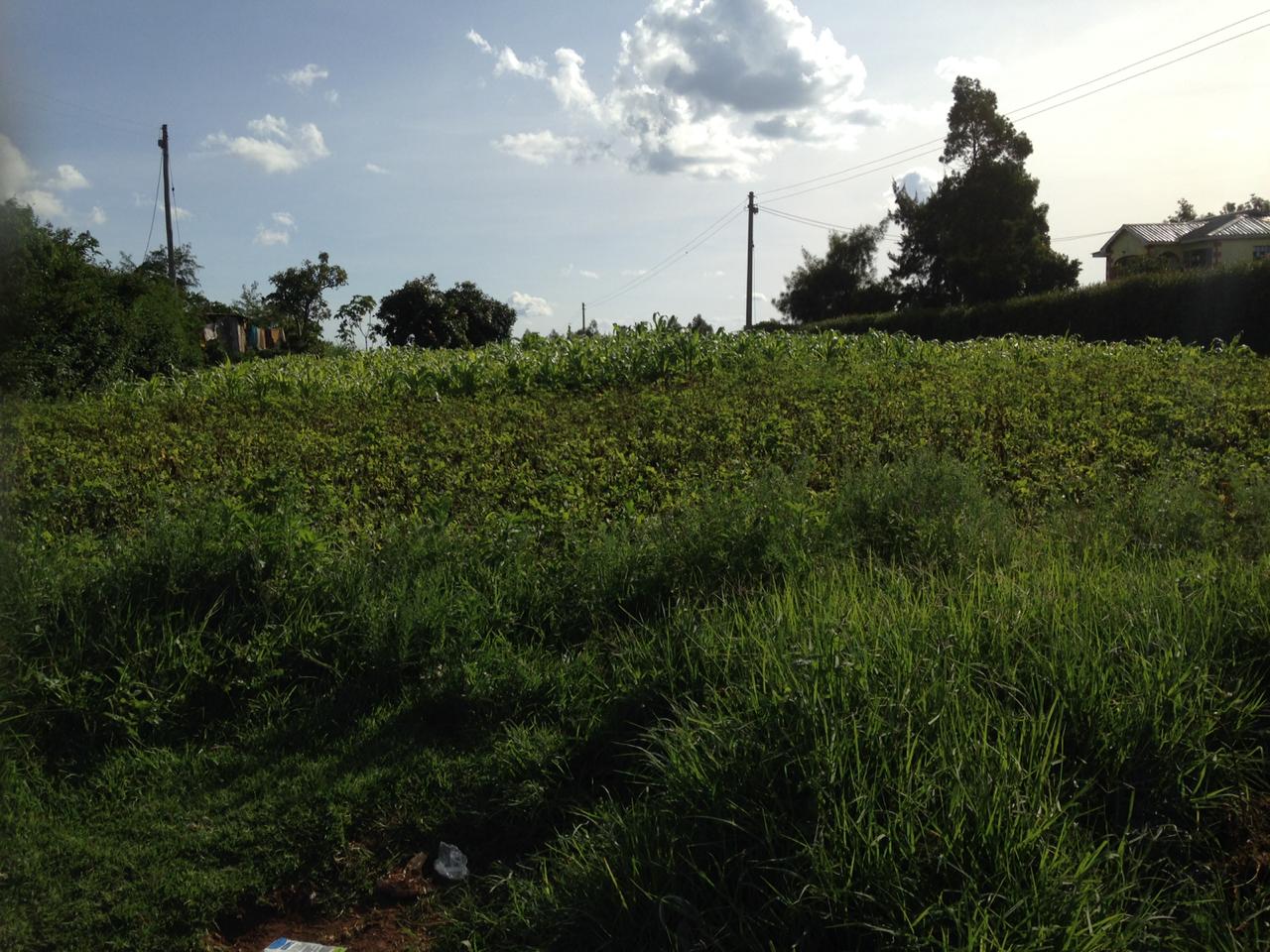 1/2 acre  on Quick Sale in Kikuyu Kamangu