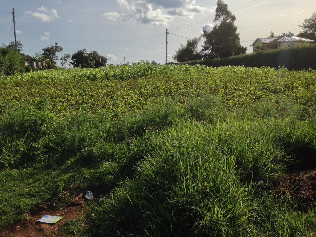 1/2 acre  on Quick Sale in Kikuyu Kamangu