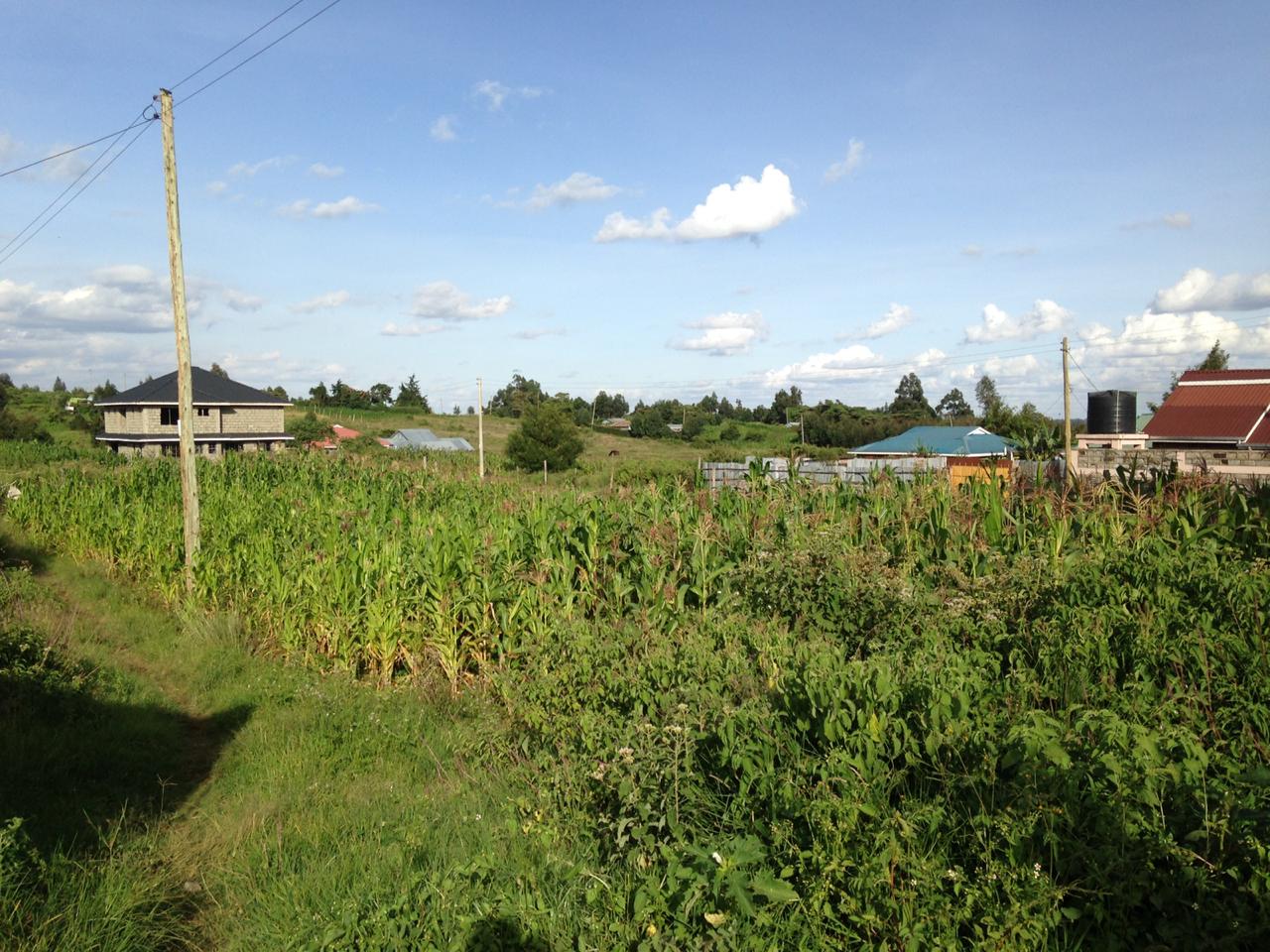 1/2 acre corner plot on distress sale in Kikuyu Kamangu.