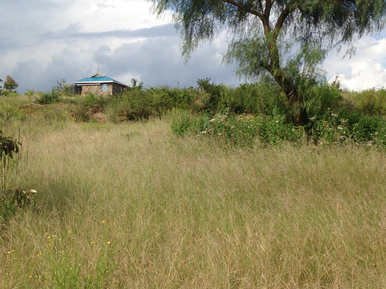 1/8th Acre Plot for Sale in Nachu Kikuyu