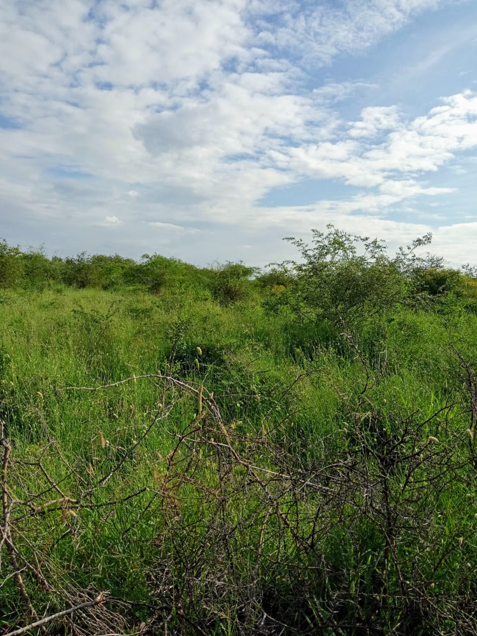 250 Acres land for sale in Kajiado West