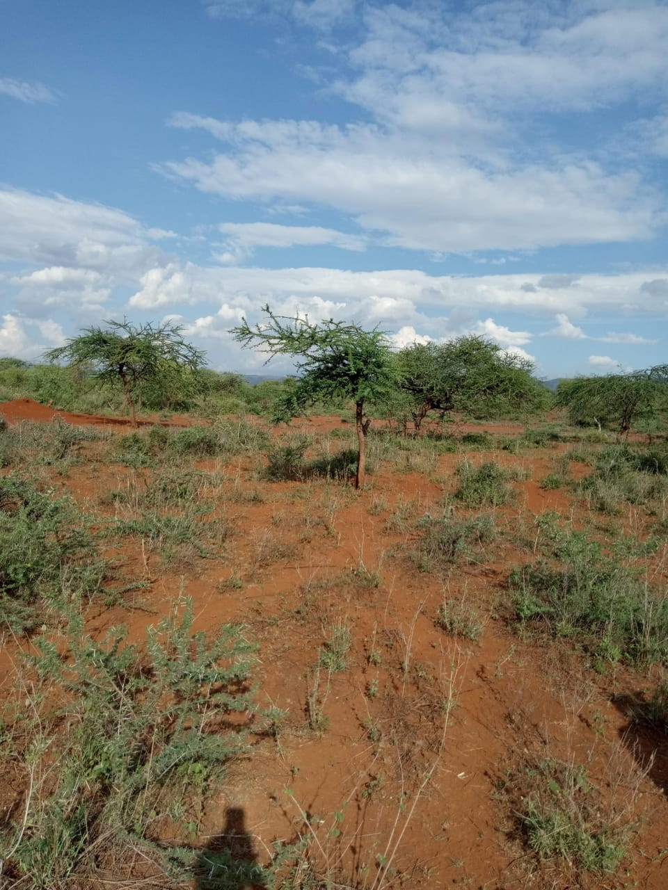 250 Acres land for sale in Kajiado West