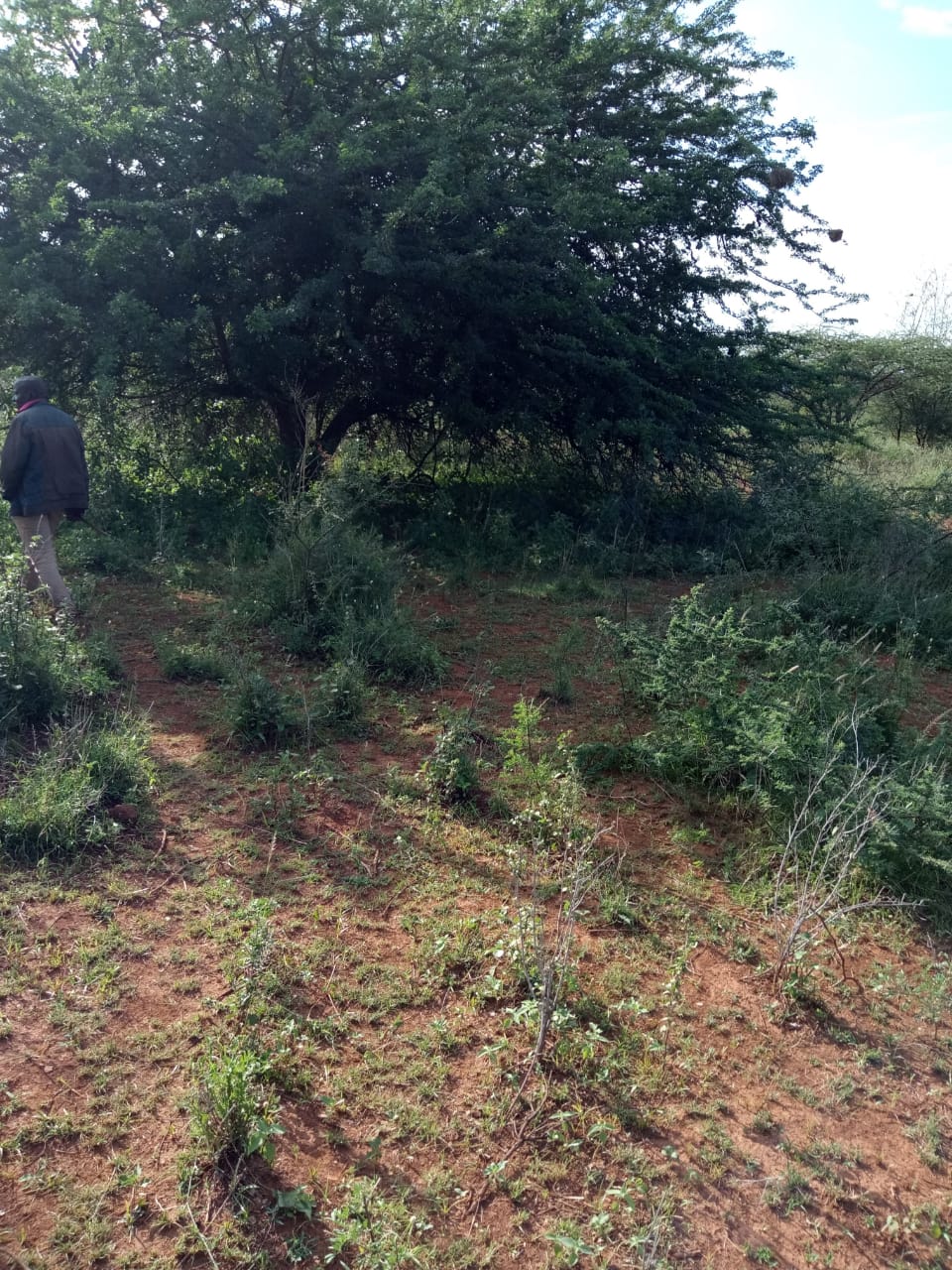 250 Acres land for sale in Kajiado West