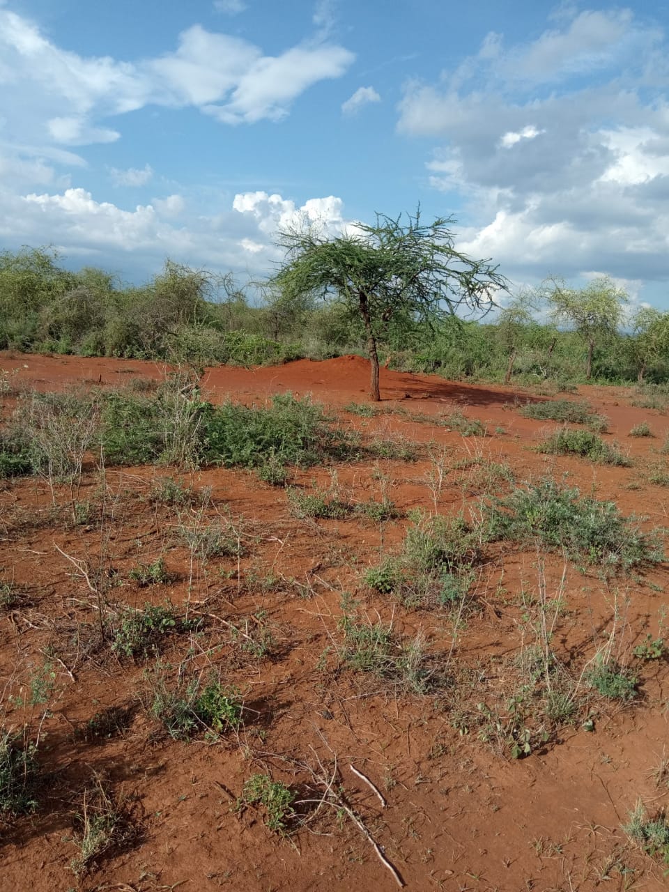 250 Acres land for sale in Kajiado West