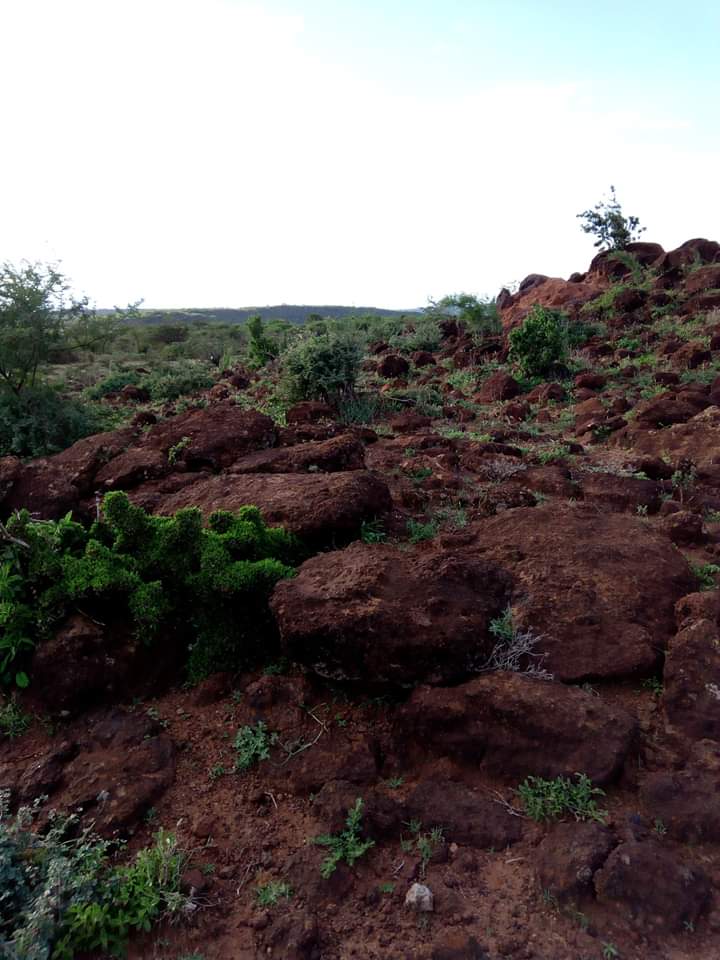 40 Acres of Stone field for sale in Kajiado west 